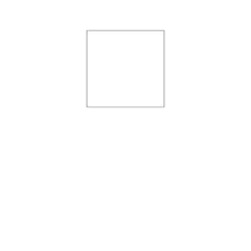 Format 105 x 105