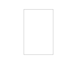 55 x 85 mm